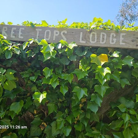 Treetops Lodge, Private Parking & Garden ترورو المظهر الخارجي الصورة
