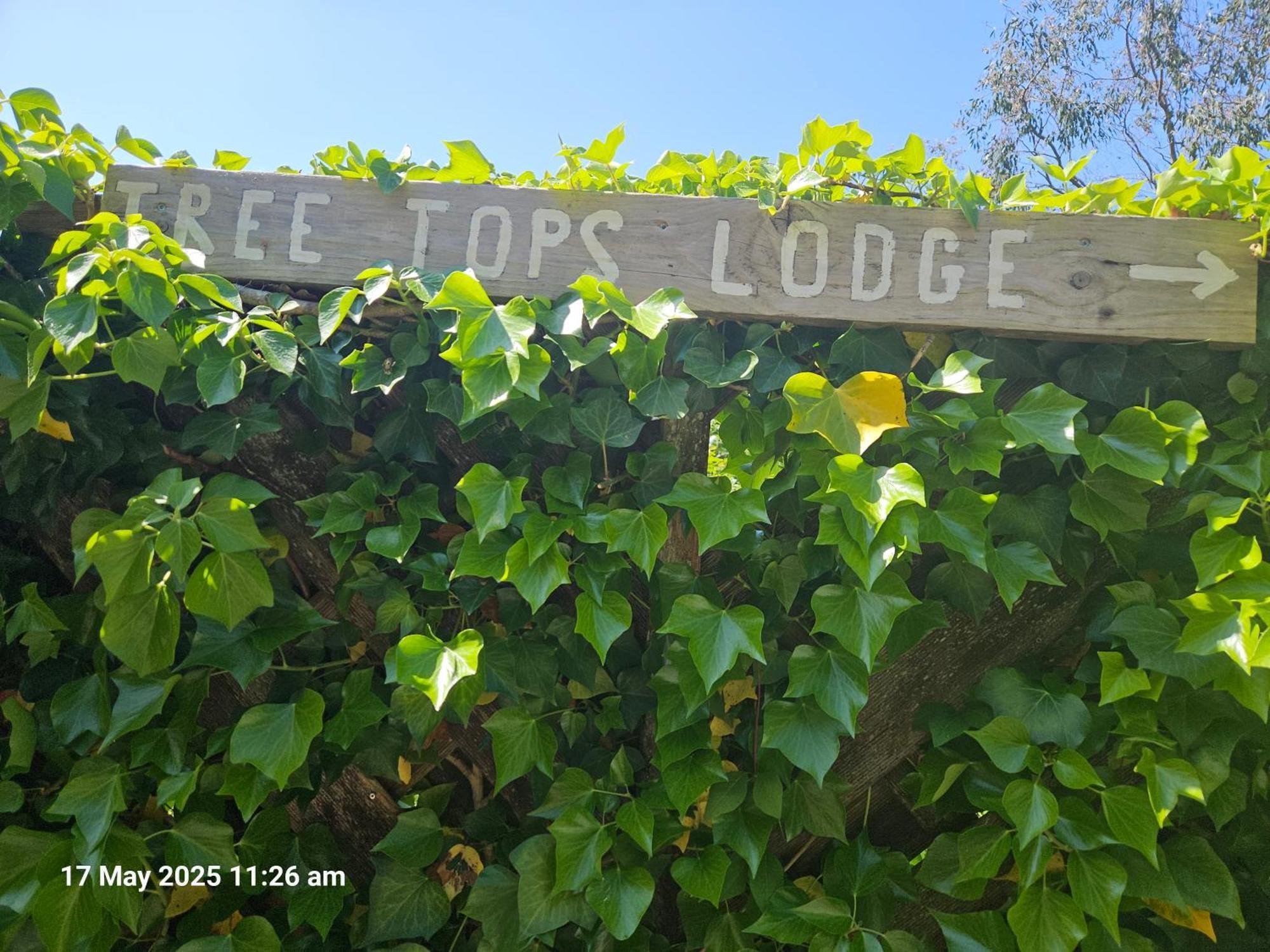 Treetops Lodge, Private Parking & Garden ترورو المظهر الخارجي الصورة